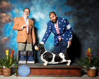 Basset Hound #10 Sun BOB Costilla Aaron Judge Steve Allmand