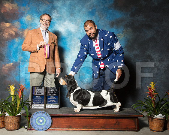Basset Hound #10 Sun BOB Costilla Aaron Judge Steve AllmandSSR_2445-SnAntonio2018-HR3