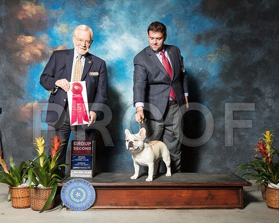 Frech Bulldog #25 G2 Geremia Alexara Blake Humman Dr Peter Photos Judge Dr Gerard PentaSSR_2773-SnAntonio2018-HR3