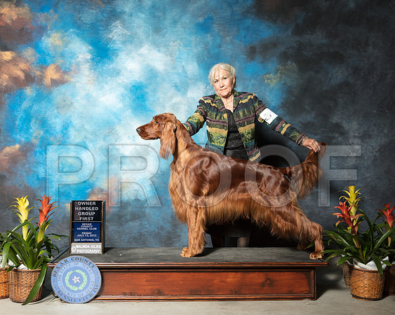 Irish Setter #8 Fri OHG1 Hill Lynn Denise Adams Judge Carol White MoserSSR_2896-SnAntonio2018-HR3