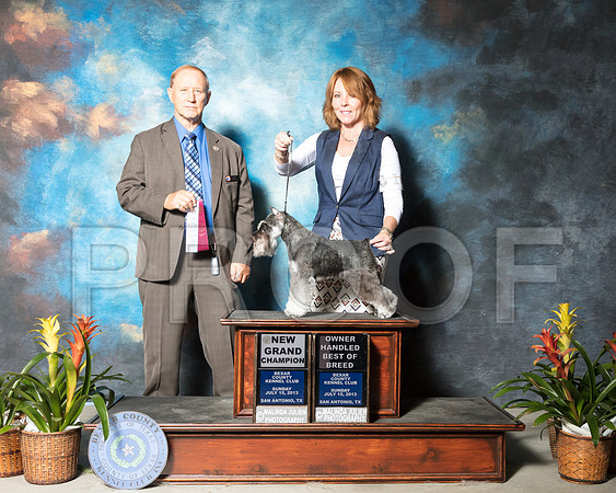 Miniature Schnauzer #10 Sun NGrCh OHBOB Carol Harris Henning Jackie Connie Krohn Judge James FrederiksenSSR_2576-SnAntonio2018-HR3