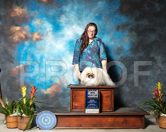 Pekingese #7 Sun BOW Maj Hamilton K E Cruz Guevara Judge Dr Wanda Spediacci Agent Tonia HolibaughSSR_2794-SnAntonio2018-HR3