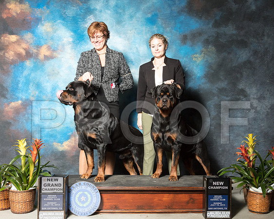 Rottweilers #21 #23 Sun NGrCh NCh Lauren Wilbanks Laura HernandezSSR_2566-SnAntonio2018-HR3