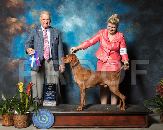 Vizsla #15 Sun BOW Maj Eldridge Joy Judge James NoeSSR_2686-SnAntonio2018-HR3