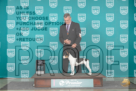 Rat Terrier #553 Sat TD Judge Diane Price__JP_2663_Premier_2024_HR3