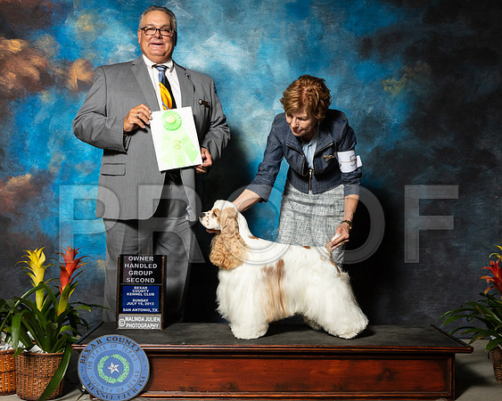 Cocker Spaniel Parti #5 Sun OHG2 Karen Gordon Judge John Lucas-SSR_2836e1-HR3