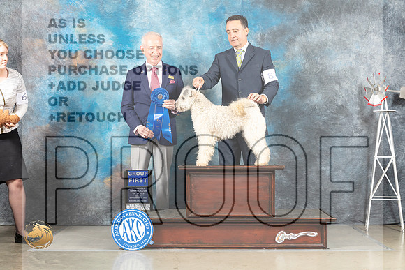 Pumi #6 Fri G1 Judge Fred Bassett _MJ_4208_Amarillo_2022_HR3