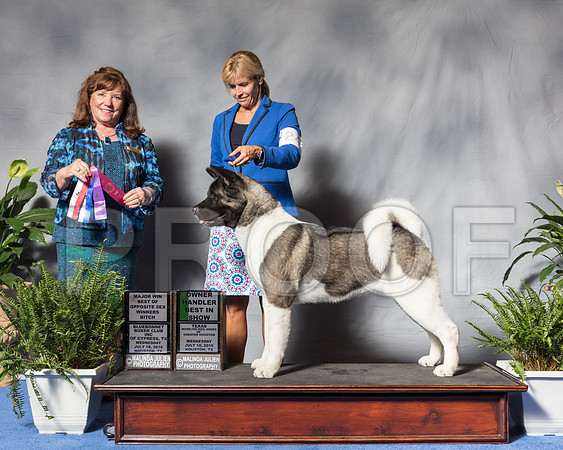 Akita #24 Wed OH WB BW BOS MAJ Witte Rick Judge Mrs Anne Marie Taylor SSR_3055Hstn2018-HR3