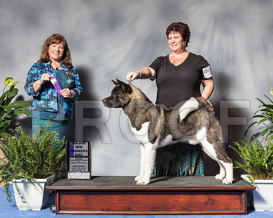 Akita #25 Wed WD MAJ Dellos Jennifer Judge Mrs Anne Marie Taylor SSR_3066Hstn2018-HR3