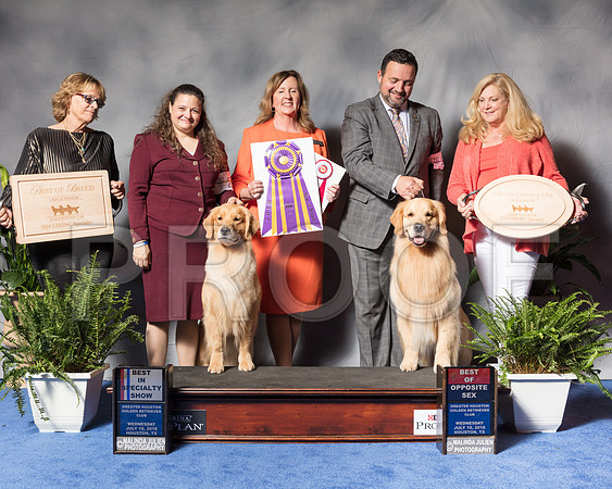 Golden Retriever #6 #27 Wed BOB BOS Andras Jim Agent Colette Livingston Clint Livingston Judge Ms Deborah A HubbardSSR_3372Hstn2018-HR3