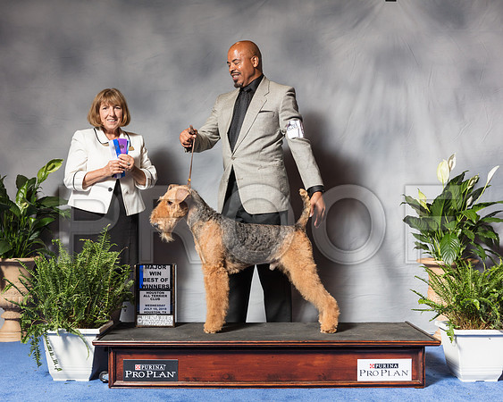 Airedale #19 Wed BOW Scott Carol Stacey Jackson Judge April ClydeSSR_3846Hstn2018-HR3