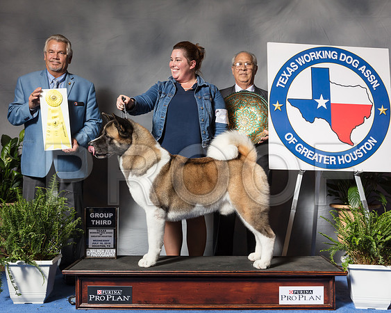 Akita #19 Wed G3 Wallis Sherry Rick Teresa Witte Judge James Taylor Agent Sarah LutherSSR_3744Hstn2018-HR3
