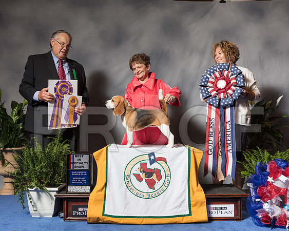 Beagle 13 #10 Wed BISS Clark Sharon Julien Fulkerson Judge John WadeSSR_3774Hstn2018-HR3