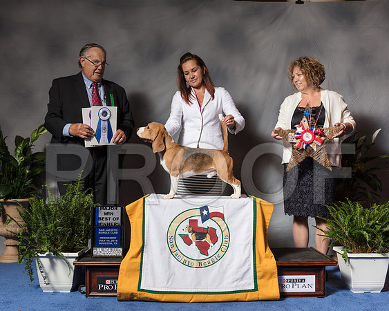 Beagle 15 #9 BOW Chamness Laura Victoria Brooke Ayala Judge John WadeSSR_3782Hstn2018-HR3