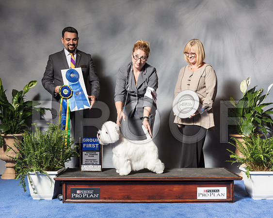 West Highland White Terrier #19 Wed G1 Jaruthavee Phavida Fred Askin Judge Joao MachadoSSR_3883Hstn2018-HR3