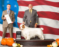 Spaniels Clumber #7 Sun G4 Holman Peggy Milford Cole Judge Mr Rick Gschwenden