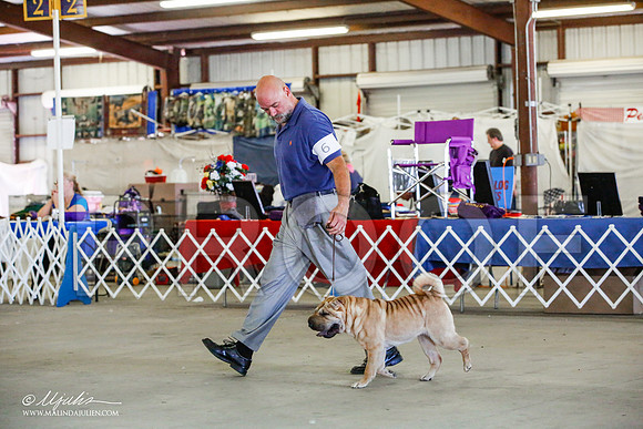 _JJ_4424-AlamogordoOct2014-HR3