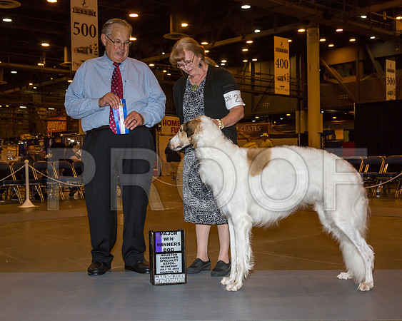 Borzoi #21 Wed WD Maj Tevebaugh Alexandra Judge John Wade_JJ_5058-Hstn2018-HR3