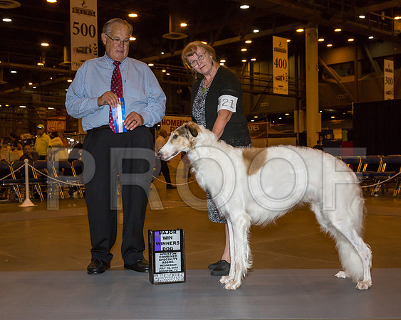 Borzoi #21 Wed WD Maj Tevebaugh Alexandra Judge John Wade_JJ_5060-Hstn2018-HR3