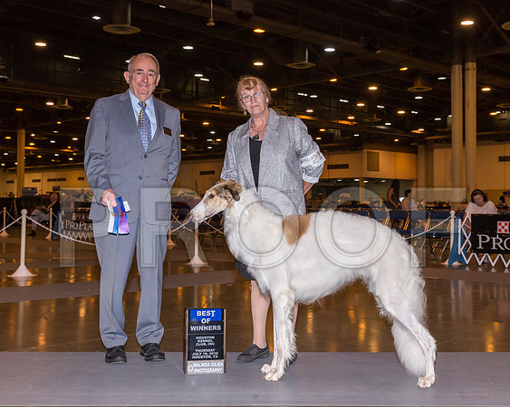 Borzoi #21 Thurs BOW Maj Tevebaugh Alexandra Judge Joe Walton_CL_7515-Hstn2018-HR3