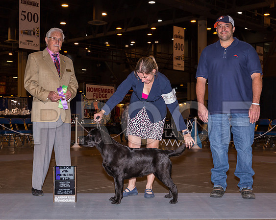 Labrador Retriever #52 Thurs WB Maj Keith Campbell Judge Charless Trotter_CL_7507-Hstn2018-HR3