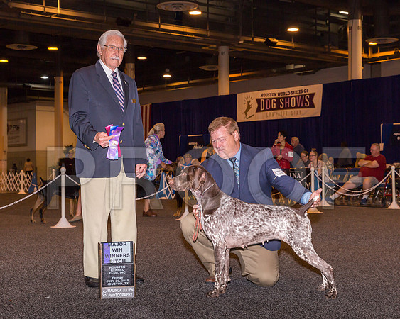 German Shorthaired Pointer #22 Fri WB Maj Corcoran Kelli Judge Charles Trotter_CL_7586-Hstn2018-HR3