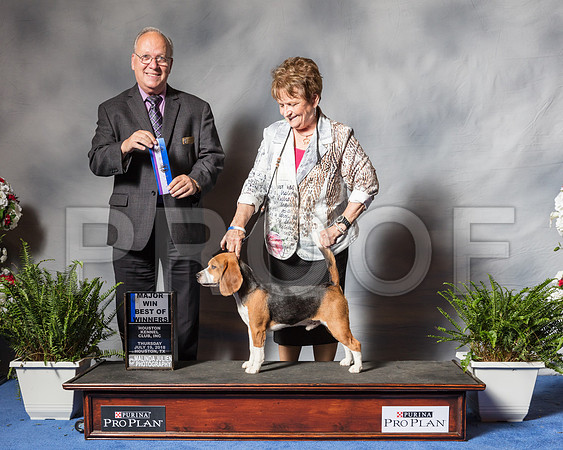 Beagle 15 #21 Thurs WD BOW Connie Conger Mara Baun Nancy Bergstrom Judge Sidney Marx-SSR_4193-Hstn2018