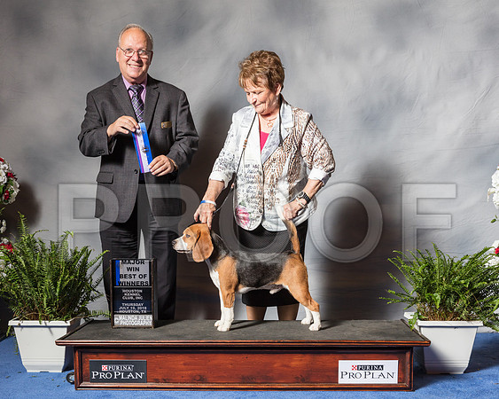 Beagle 15 #21 Thurs WD BOW Connie Conger Mara Baun Nancy Bergstrom Judge Sidney Marx-SSR_4194-Hstn2018