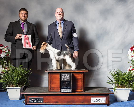 Fox Terrier Wire #7 Thurs PG1 Warren Kevin-SSR_4384-Hstn2018