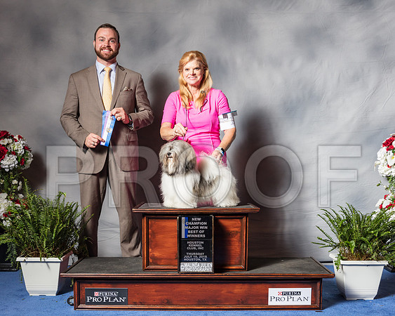 Havanese #8 Thur BOW Maj Claybrook Rene Andy Judge Lewis Bayne-SSR_4387-Hstn2018
