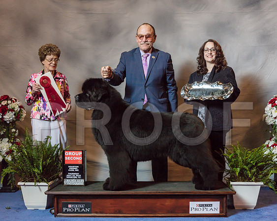 Newfoundland #7  Thurs G2 Wortham Kathleen Judge Pat Trotter-SSR_4580-Hstn2018