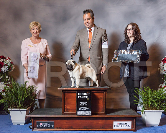 Pug #7 Thurs G4 Veltman Elois Virginia Cox Judge Charlotte Patterson-SSR_4358-Hstn2018
