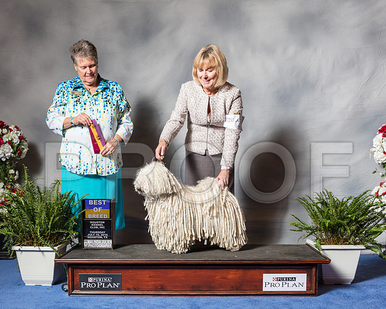 Pulik #5 Thur BOB Erstling Bob Pam Judge Stephanie Seabrook Hedgepath-SSR_4082-Hstn2018