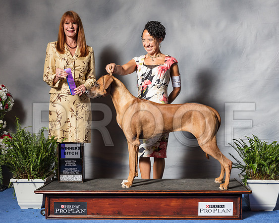 Rhodesian Ridgeback #32 Thurs WB McFadden Cynthia Judge Linda Hurlebaus-SSR_4229-Hstn2018