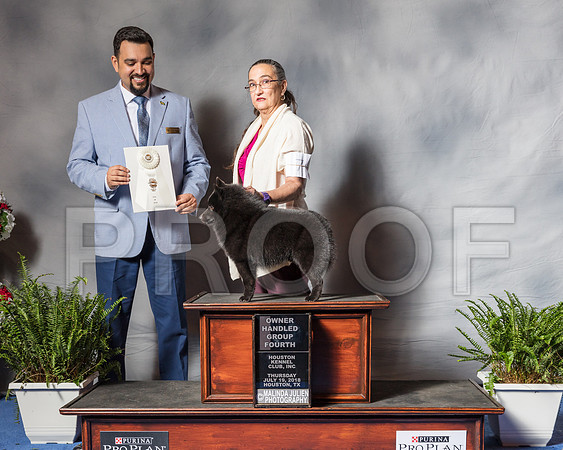 Schipperke #7 Thur OHG4 Cheret Kathy Wagner Judge Jaoa Machado-SSR_4274-Hstn2018