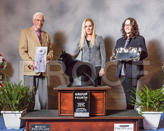 Schipperke #9 Thur G4 Freer Sandra Middlebrooks Gina Amy Halterman Judge Charles Trotter-SSR_4418-Hstn2018