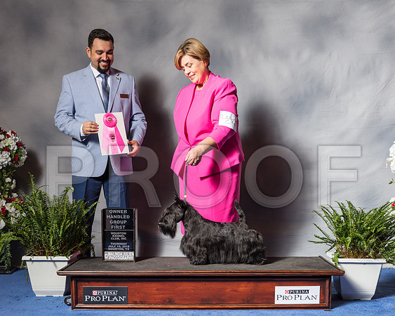 Scottish Terrier #24 Thur OHG1 Gina Smith Judge Jaoa Machado-SSR_4320-Hstn2018
