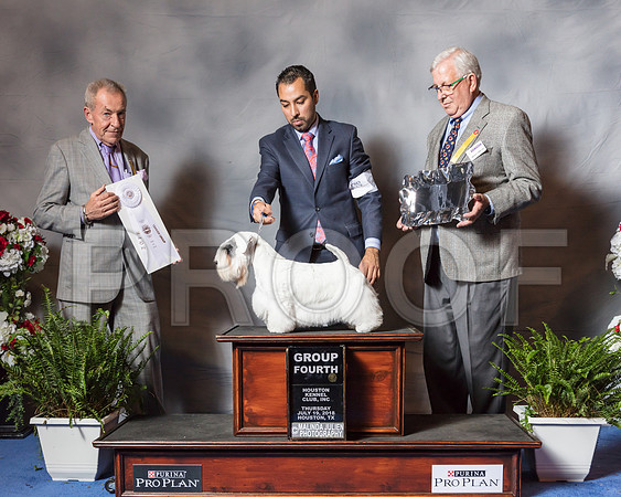 Sealyham Terrier #6 Thur G4 Sutliff Cheryl Jennings Judge Desmond Murphy-SSR_4514-Hstn2018