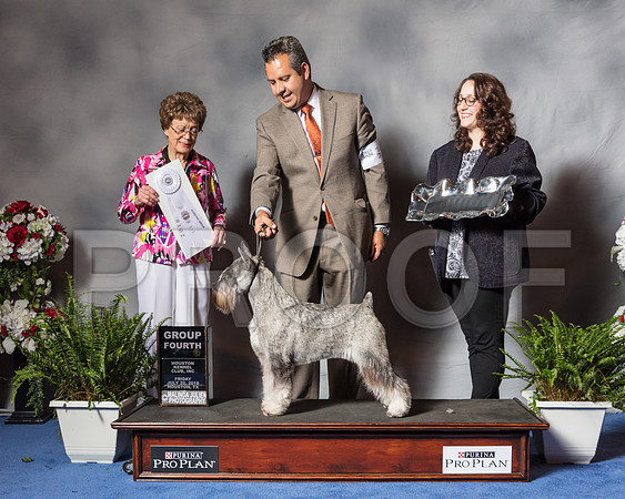 Standard Schnauzer #10 Thur G4 Ferguson Mary Ellen Judge Pat Trotter-SSR_4574-Hstn2018