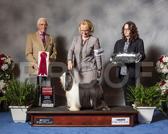 Tibetan Terrier #9 Thur G2 Planche Dina Sean Cathy Lydon Mikki DeMers Judge Charles Trotter-SSR_4408-Hstn2018