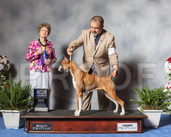 Boxer #32 Thur BOW MAJ Rodriguez Suzanne Judge Mrs Patricia V TrotterSSR_3952Hstn2018-HR3