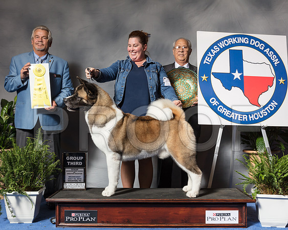 Akita #19 Wed G3 Wallis Sherry Rick Teresa Witte Judge James Taylor Agent Sarah LutherSSR_3742Hstn2018-HR3