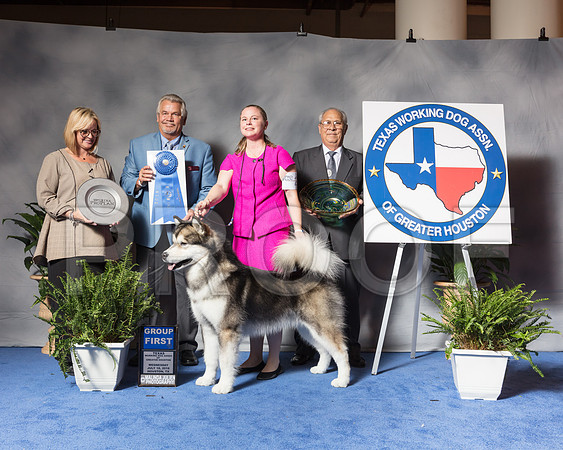 Alaskan Malamute #23 Wed G1 Corr Jennifer Wendy Tina Dunn Judge James TaylorSSR_3732Hstn2018-HR3