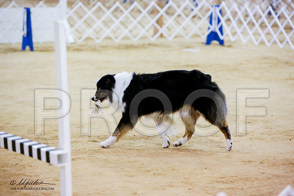 _JN_7012-ASCACollegeStationNov2014-HR3