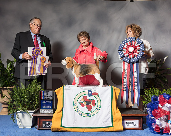 Beagle 13 #10 Wed BISS Clark Sharon Julien Fulkerson Judge John WadeSSR_3776Hstn2018-HR3