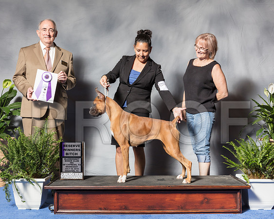 Boxer #34 Wed RWB Rodriguez Alfred Judge Mr Joe C WaltonSSR_3044Hstn2018-HR3