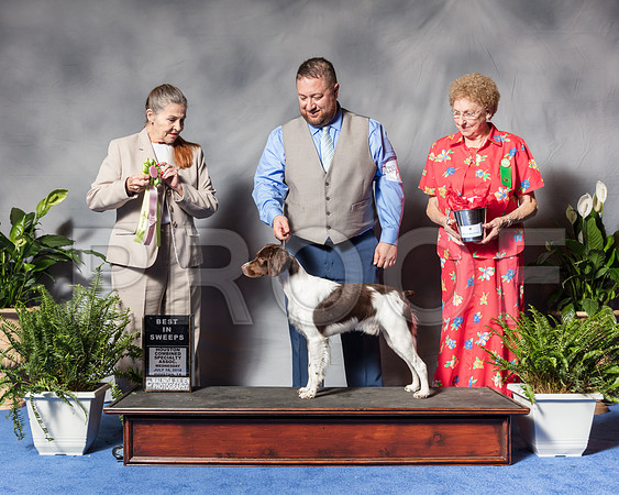 Brittany #5 Wed MAJ BOW BOSwp Taulai Niclaus Judge Mr Jon R ColeSSR_3107Hstn2018-HR3