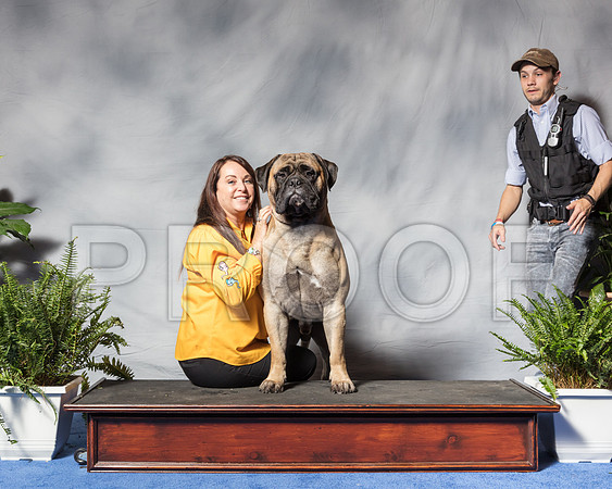 Bull Mastiff Wed Kathy CUSTOMSSR_3076Hstn2018-HR3