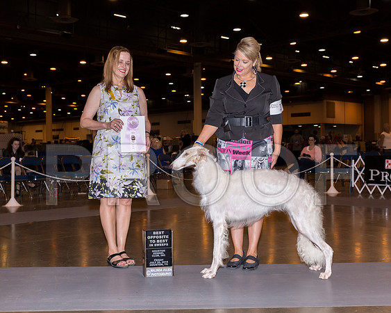 Borzoi #14 Fri BOS Sweeps McFadden Shirley Judge Veni Harlan_CL_7613-Hstn2018-HR3