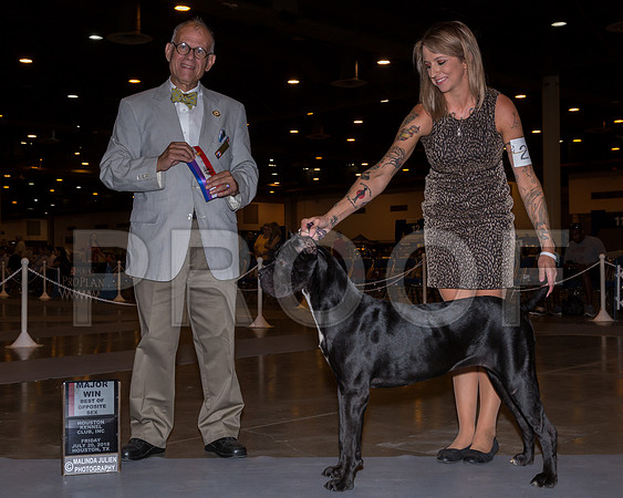 Cane Corso #22 Fri BOS Maj Amanda Stapleton Judge Luis Sosa_JJ_5128-Hstn2018-HR3